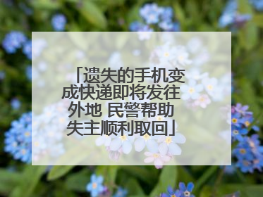 遗失的手机变成快递即将发往外地 民警帮助失主顺利取回