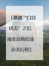 遭遇“白宫伏击”之后 南非总统结束访美行程