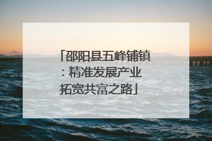 邵阳县五峰铺镇：精准发展产业 拓宽共富之路