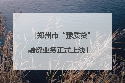 郑州市“豫质贷”融资业务正式上线