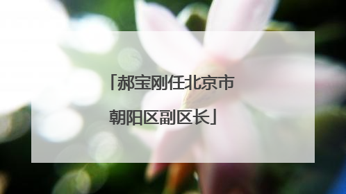 郝宝刚任北京市朝阳区副区长