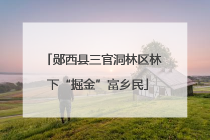 郧西县三官洞林区林下“掘金”富乡民