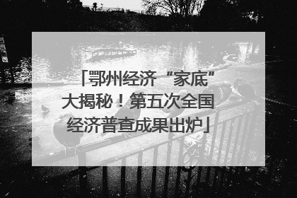 鄂州经济“家底”大揭秘！第五次全国经济普查成果出炉