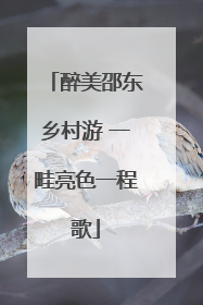 醉美邵东乡村游 一畦亮色一程歌