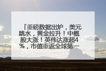 重磅数据出炉，美元跳水，黄金拉升！中概股大涨！英伟达涨超4%，市值重返全球第一！黄仁勋计划出售至多600万股股票