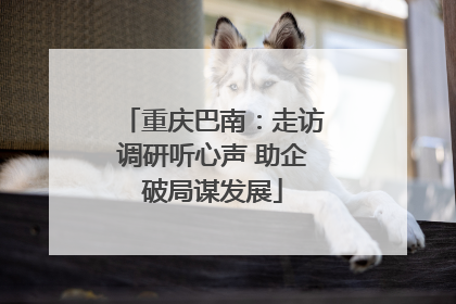 重庆巴南：走访调研听心声 助企破局谋发展
