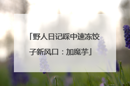 野人日记踩中速冻饺子新风口：加魔芋
