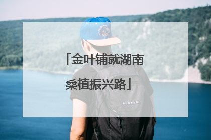 金叶铺就湖南桑植振兴路