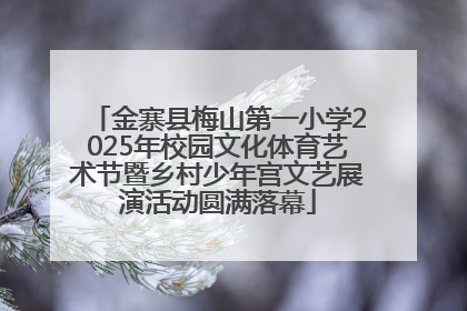 金寨县梅山第一小学2025年校园文化体育艺术节暨乡村少年宫文艺展演活动圆满落幕