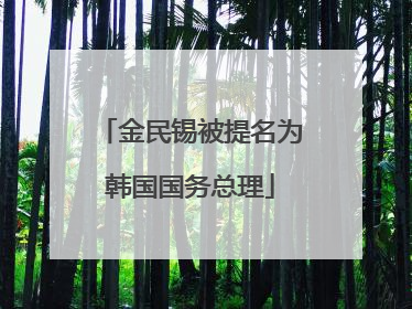 金民锡被提名为韩国国务总理