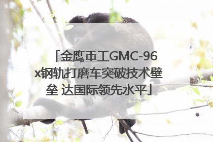 金鹰重工GMC-96x钢轨打磨车突破技术壁垒 达国际领先水平
