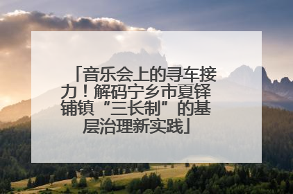 音乐会上的寻车接力！解码宁乡市夏铎铺镇“三长制”的基层治理新实践