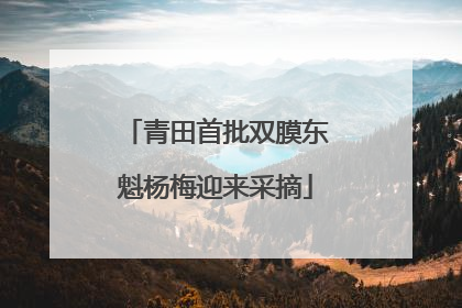 青田首批双膜东魁杨梅迎来采摘