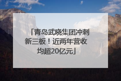 青岛武晓集团冲刺新三板！近两年营收均超20亿元