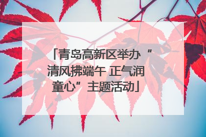 青岛高新区举办“清风拂端午 正气润童心”主题活动