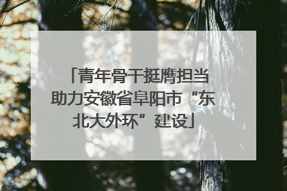 青年骨干挺膺担当 助力安徽省阜阳市“东北大外环”建设