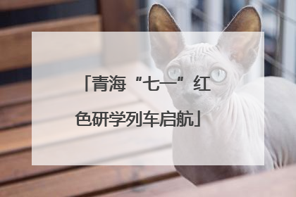 青海“七一”红色研学列车启航