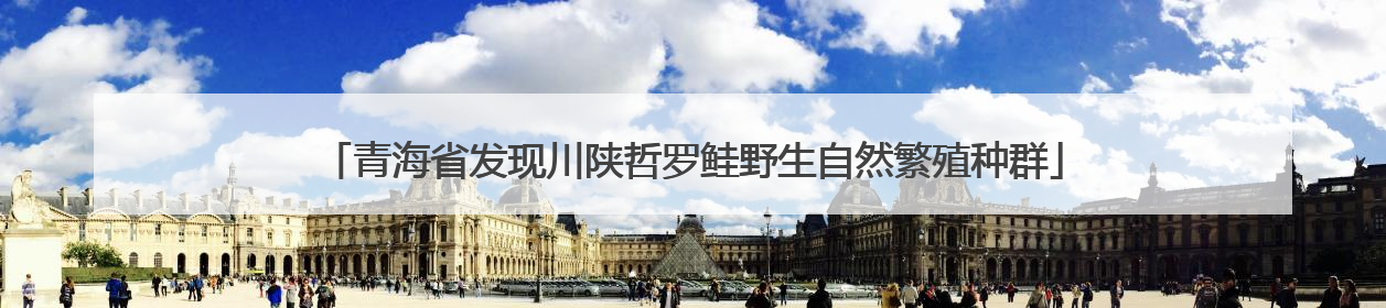 青海省发现川陕哲罗鲑野生自然繁殖种群