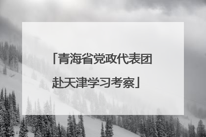 青海省党政代表团赴天津学习考察