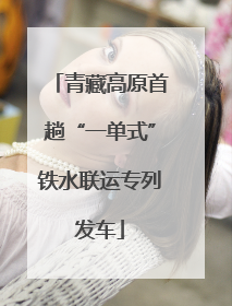 青藏高原首趟“一单式”铁水联运专列发车