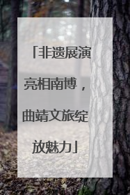 非遗展演亮相南博，曲靖文旅绽放魅力