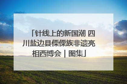 针线上的新国潮 四川盐边县傈僳族非遗亮相西博会｜图集