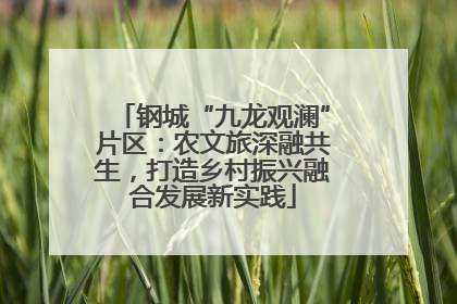 钢城“九龙观澜”片区：农文旅深融共生，打造乡村振兴融合发展新实践