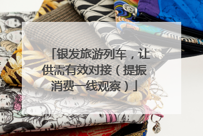 银发旅游列车，让供需有效对接（提振消费一线观察）