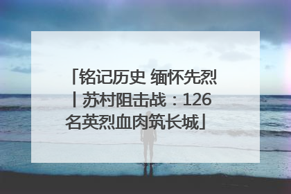 铭记历史 缅怀先烈丨苏村阻击战：126名英烈血肉筑长城