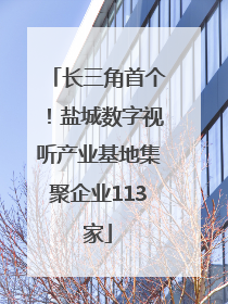 长三角首个！盐城数字视听产业基地集聚企业113家