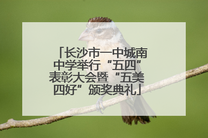 长沙市一中城南中学举行“五四”表彰大会暨“五美四好”颁奖典礼