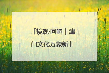 镜观·回响｜津门文化万象新