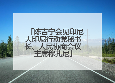 陈吉宁会见印尼大印尼行动党秘书长、人民协商会议主席穆扎尼