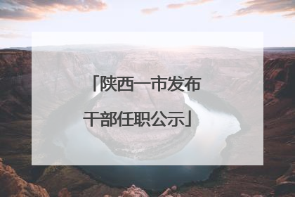 陕西一市发布干部任职公示