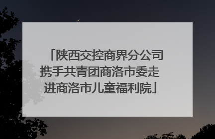 陕西交控商界分公司携手共青团商洛市委走进商洛市儿童福利院