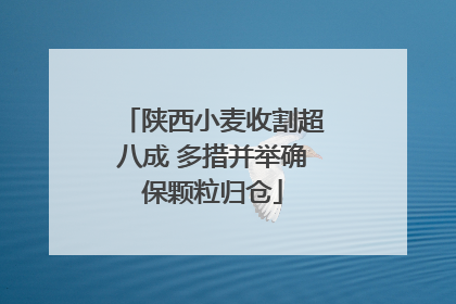 陕西小麦收割超八成 多措并举确保颗粒归仓