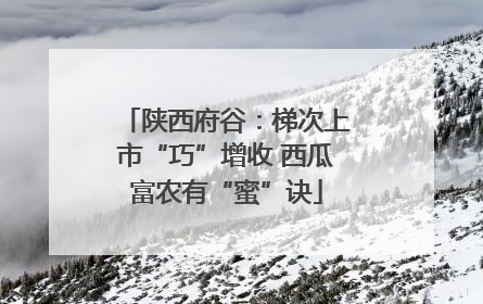 陕西府谷：梯次上市“巧”增收 西瓜富农有“蜜”诀