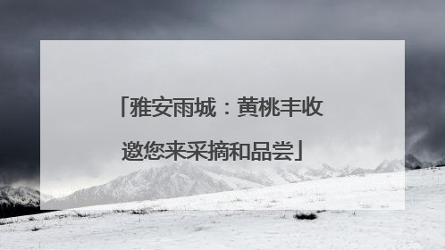 雅安雨城：黄桃丰收 邀您来采摘和品尝