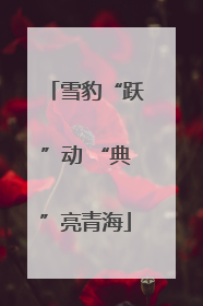 雪豹“跃”动 “典”亮青海