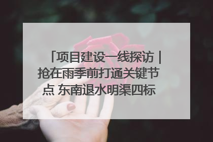 项目建设一线探访｜抢在雨季前打通关键节点 东南退水明渠四标段项目顺利完工