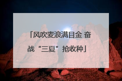 风吹麦浪满目金 奋战“三夏”抢收种