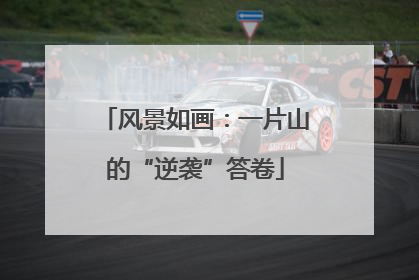 风景如画：一片山的“逆袭”答卷
