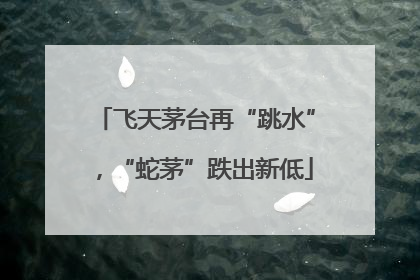 飞天茅台再“跳水”，“蛇茅”跌出新低