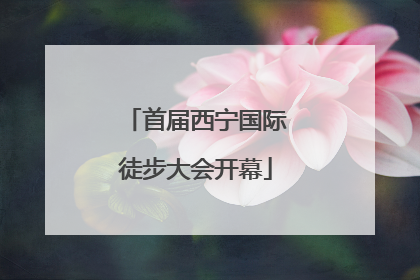 首届西宁国际徒步大会开幕