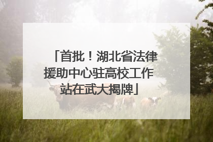 首批！湖北省法律援助中心驻高校工作站在武大揭牌
