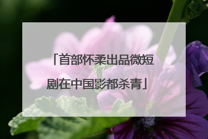 首部怀柔出品微短剧在中国影都杀青