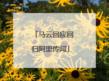 马云回应回归阿里传闻