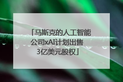 马斯克的人工智能公司xAI计划出售3亿美元股权