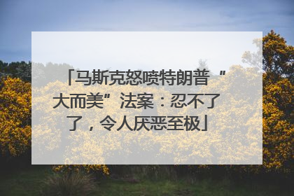 马斯克怒喷特朗普“大而美”法案：忍不了了，令人厌恶至极