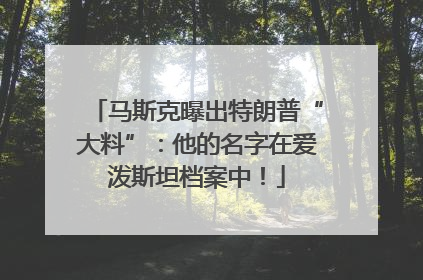 马斯克曝出特朗普“大料”：他的名字在爱泼斯坦档案中！